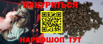 Альфа ПВП Будённовск