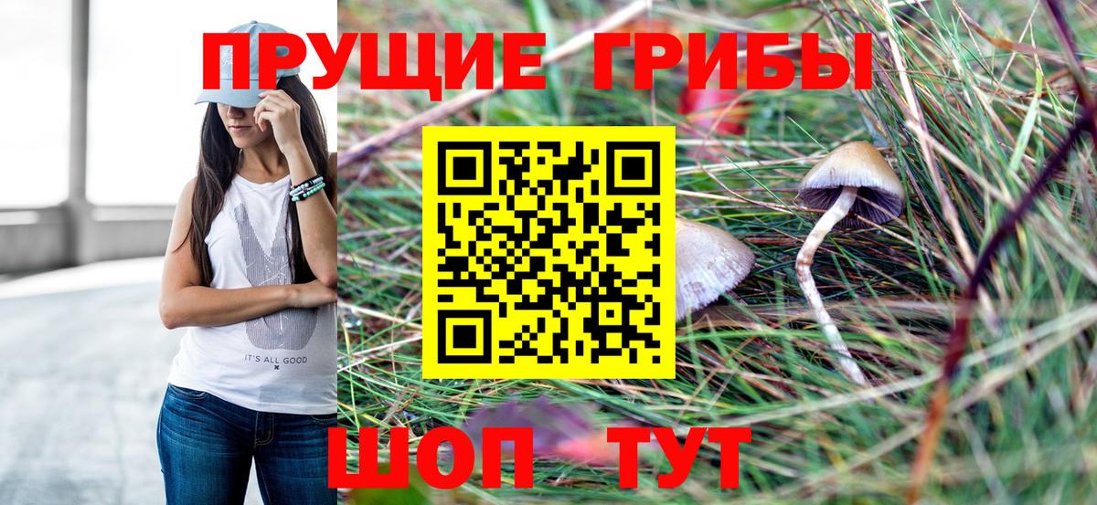 Галлюциногенные грибы мицелий  Псилоцибиновые грибы ЛСД  Вход с VPN  Заинск 