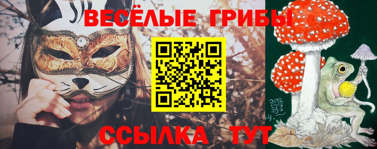 Галлюциногенные грибы мицелий Заинск